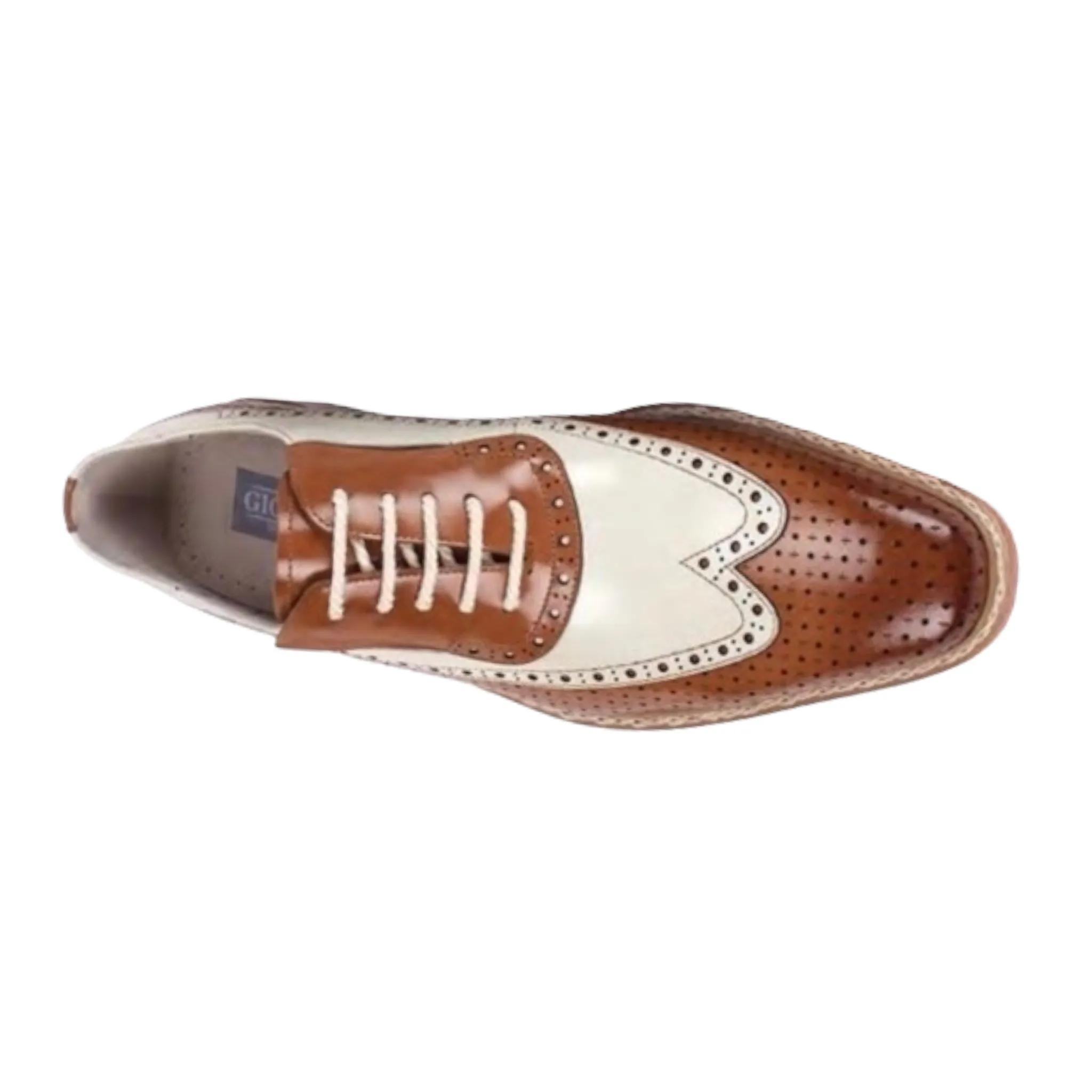 GIOVANNI: Rio Wing Tip Lace Up