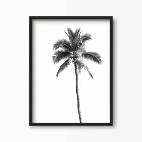 Palm Springs Print