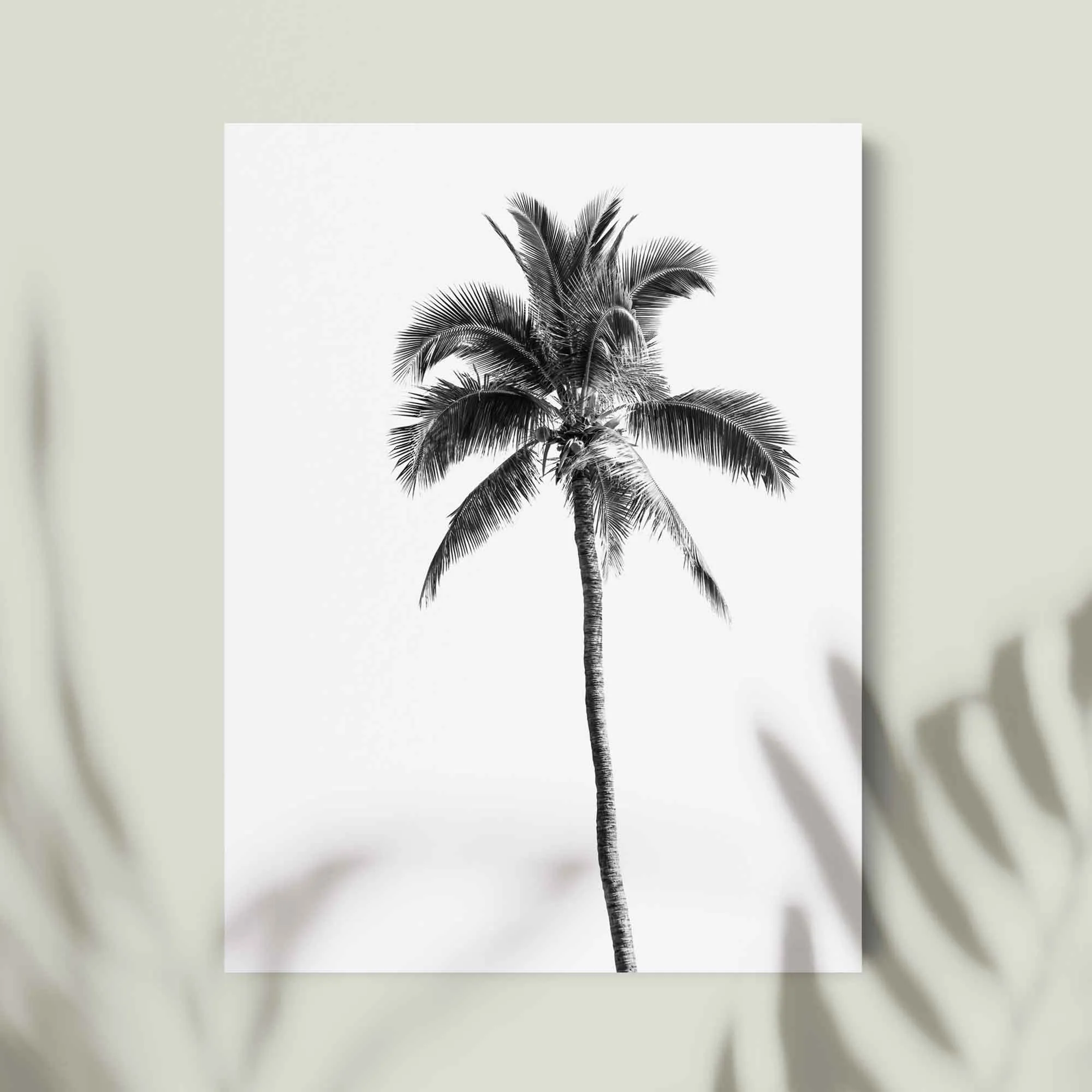 Palm Springs Print