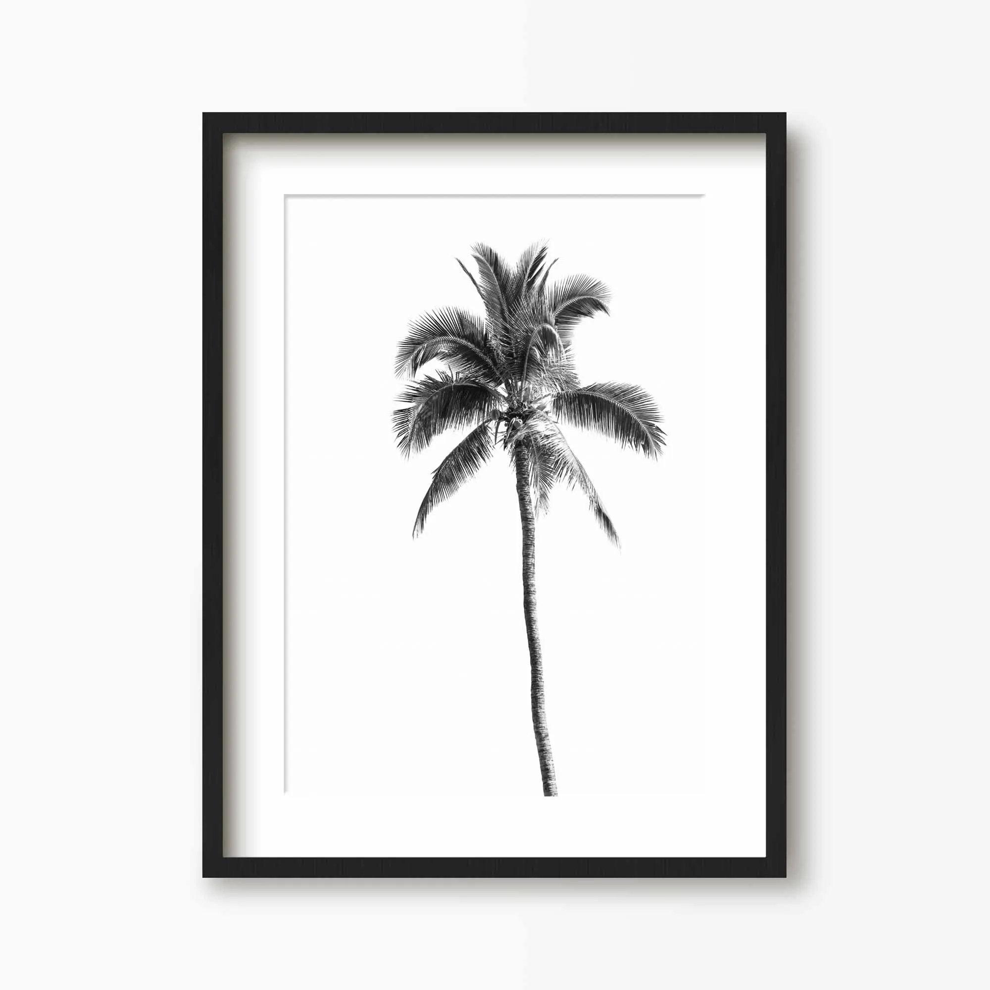 Palm Springs Print